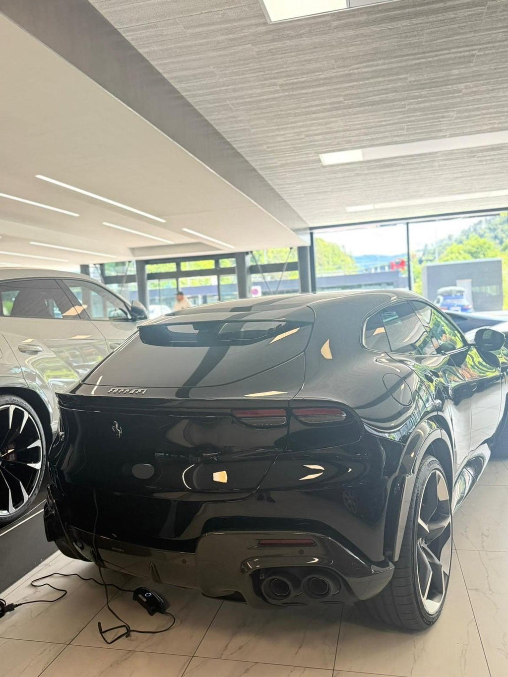 Ferrari Purosangre