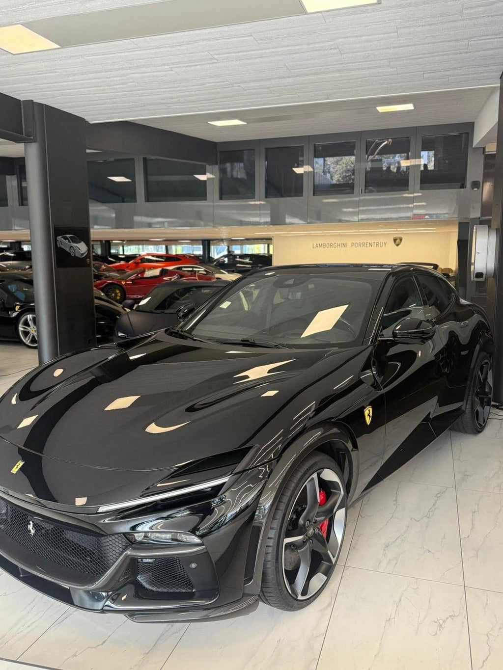 Ferrari Purosangre